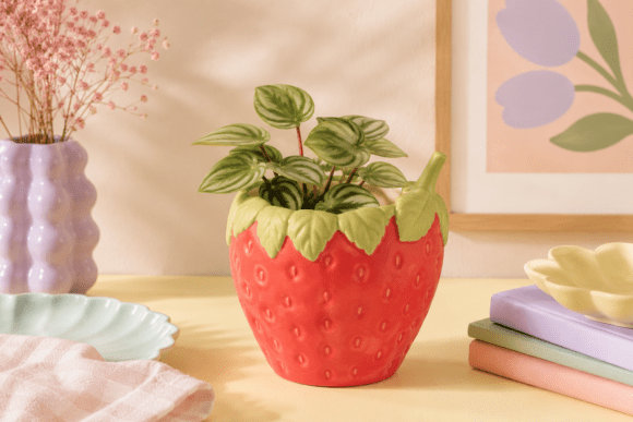 Grow Charm with a Strawberry Planter Pot STL