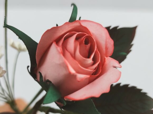 Strategic Design and Assembly: Mastering the Paper Flower Two Tone Rose Bud Template